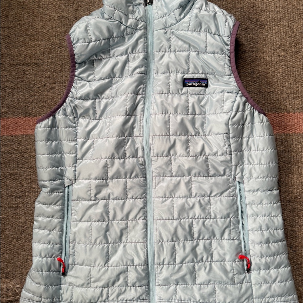 Patagonia Ice Blue quilted puffer Vest